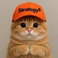 CATSTRATEGY (CATSTR) token icon