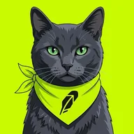 Fidel Catstro (CATSTRO) token icon