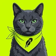 Fidel Catstro (CATSTRO) token icon