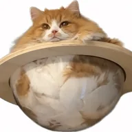 CATURN (CATURN) token icon