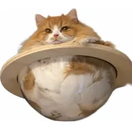 CATURN (CATURN) token icon