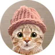 CatWifHat (CATWIF) token icon