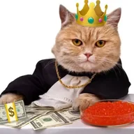 Caviar Dealer (CAVIAR) token icon