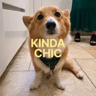 Kinda Chic (CHIC) token icon