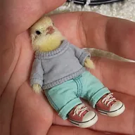 Just A Chill CHICK (CHICK) token icon