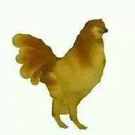 Chicken cheems (CHEEMS) token icon