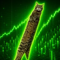 Looong Cat (CHICO) token icon