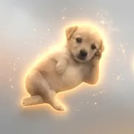 Chill Dog (CHILLDOG) token icon