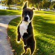 The Peptide Dog (CHOOCHOO) token icon