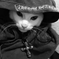 Chrome Cat (CHROME) token icon