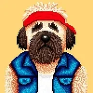 Chuck (CHUCK) token icon