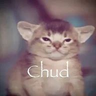chud cat (CHUD) token icon