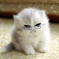 Chud Cat (CHUDCAT) token icon