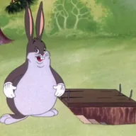 Big Chungus (CHUNGUS) token icon