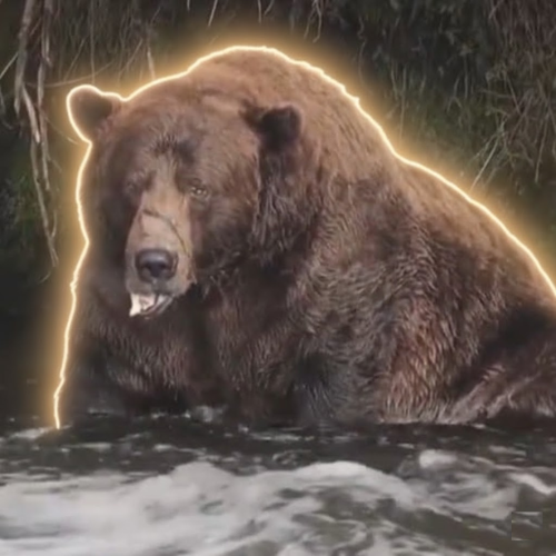 The Biggest Bear  (CHUNK) token icon