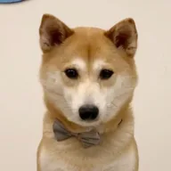 Circle Inu (CINU) token icon