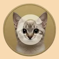 CogeCoin (COGE) token icon