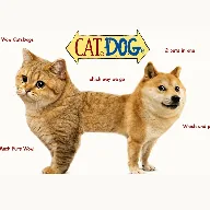 CateDoge (COGE) token icon