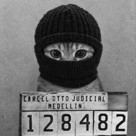 Cartel Cat (COKE) token icon