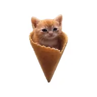 conecat (CONECAT) token icon