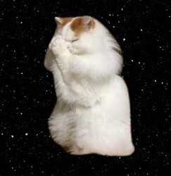 conviction (CONVICTION) token icon