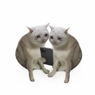copycat (COPYCAT) token icon
