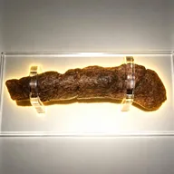The Colossal Shit (CORPROLITE) token icon