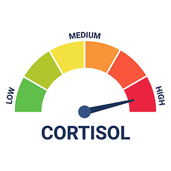 Cortisol Level (CORTISOL) token icon