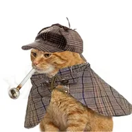 crackcat (CRACKCAT) token icon