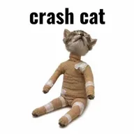 Crash Cat (CRASHCAT) token icon