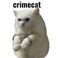 CRIMECAT (CRIMECAT) token icon