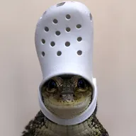 CROCS (CROCS) token icon