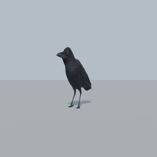 Claude Crow (CROW) token icon