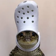 Crypto + Stocks (CROCS) token icon