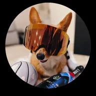Corgi sports picks (CSP) token icon