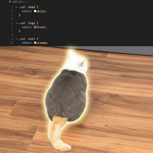 CSS CAT (CSSCAT) token icon