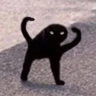 Cursed Cat (CURSE) token icon
