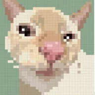 Cute Cat (CUTECAT) token icon