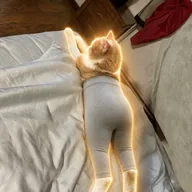 catwifpants (CWIF) token icon