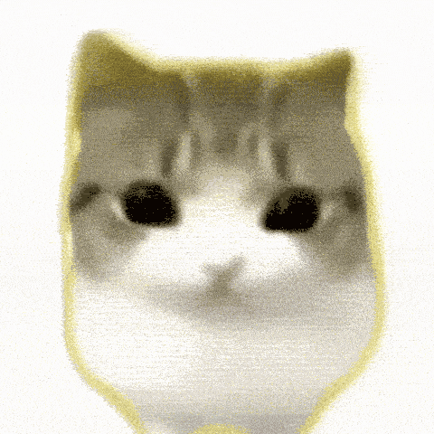 Dam Dam Didi Didi Cat (DAMDAM) token icon