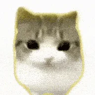 Dam Dam Didi Didi Cat (DAMDAM) token icon