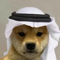 The habibi dog (DARKY) token icon
