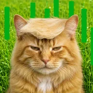 DonaldCat (DC) token icon