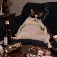 Degenerate Cat (DCAT) token icon