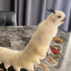 Drunk Chicken Centipede (DCC) token icon