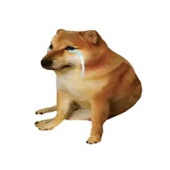 Debt Dog (DEBTDOG) token icon