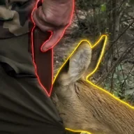 The Rousseauian Deer (DEER) token icon