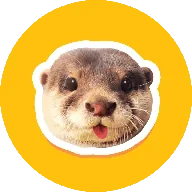 Degen Otter (DEGEN) token icon