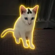 catwifdick (DICKHEAD) token icon