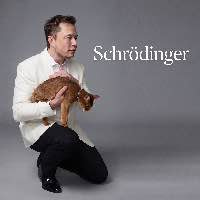Schrödinger Elon Cat (DINGER) token icon